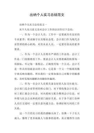 出纳个人实习总结范文