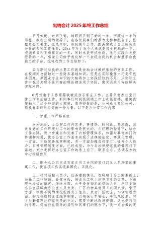 出纳会计2025年终工作总结