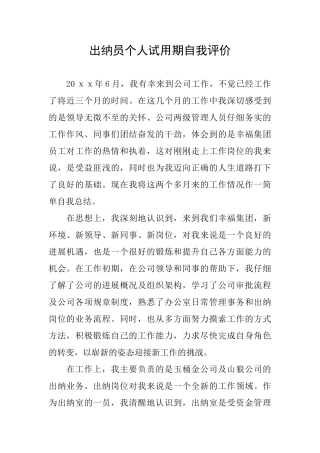 出纳员个人试用期自我评价