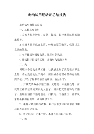 出纳试用期转正总结报告