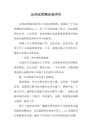 出纳试用期自我评价