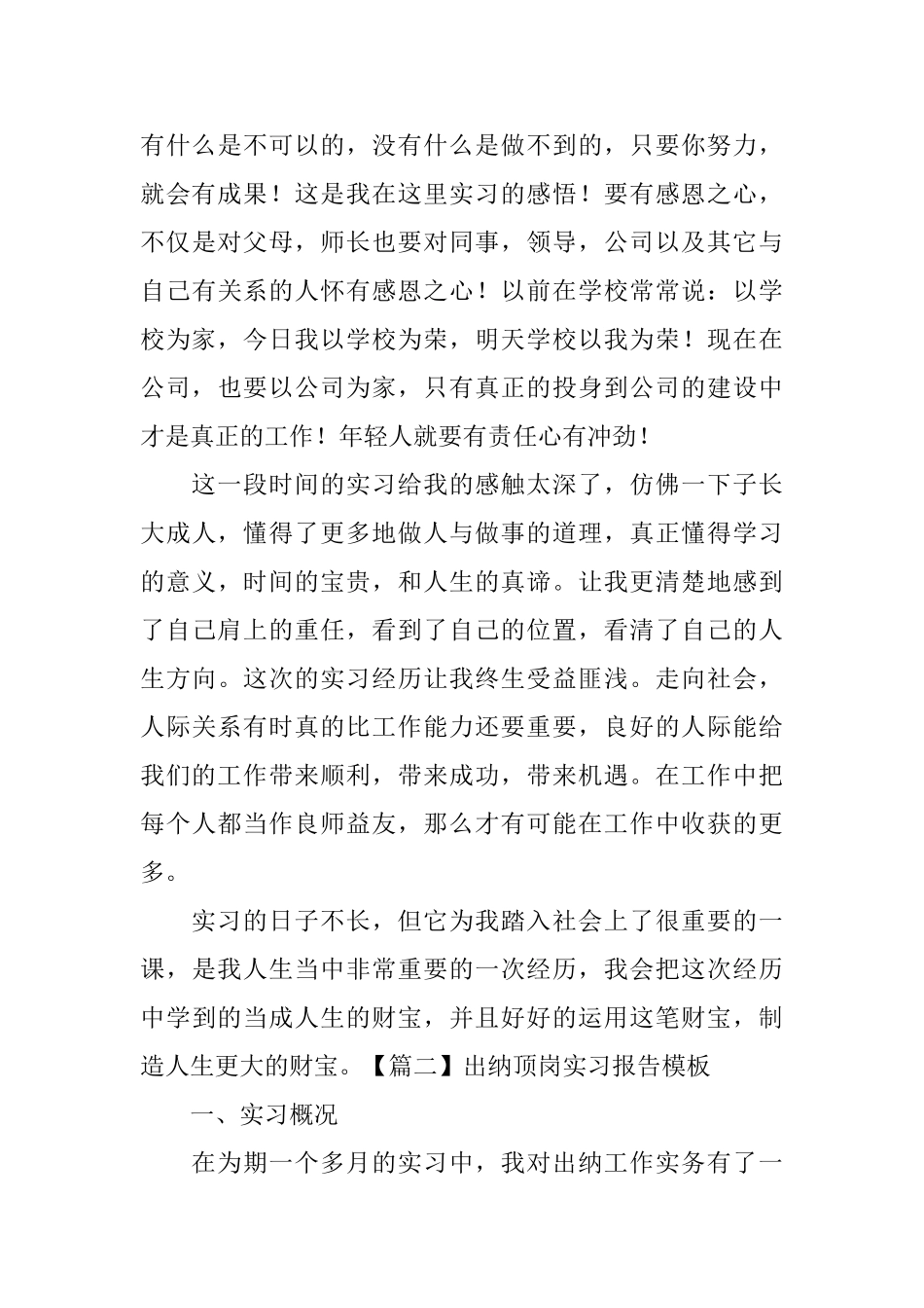 出纳顶岗实习报告模板_第3页