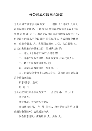 分公司成立股东会决议