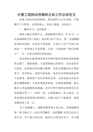 分管工程师试用期转正的工作总结范文