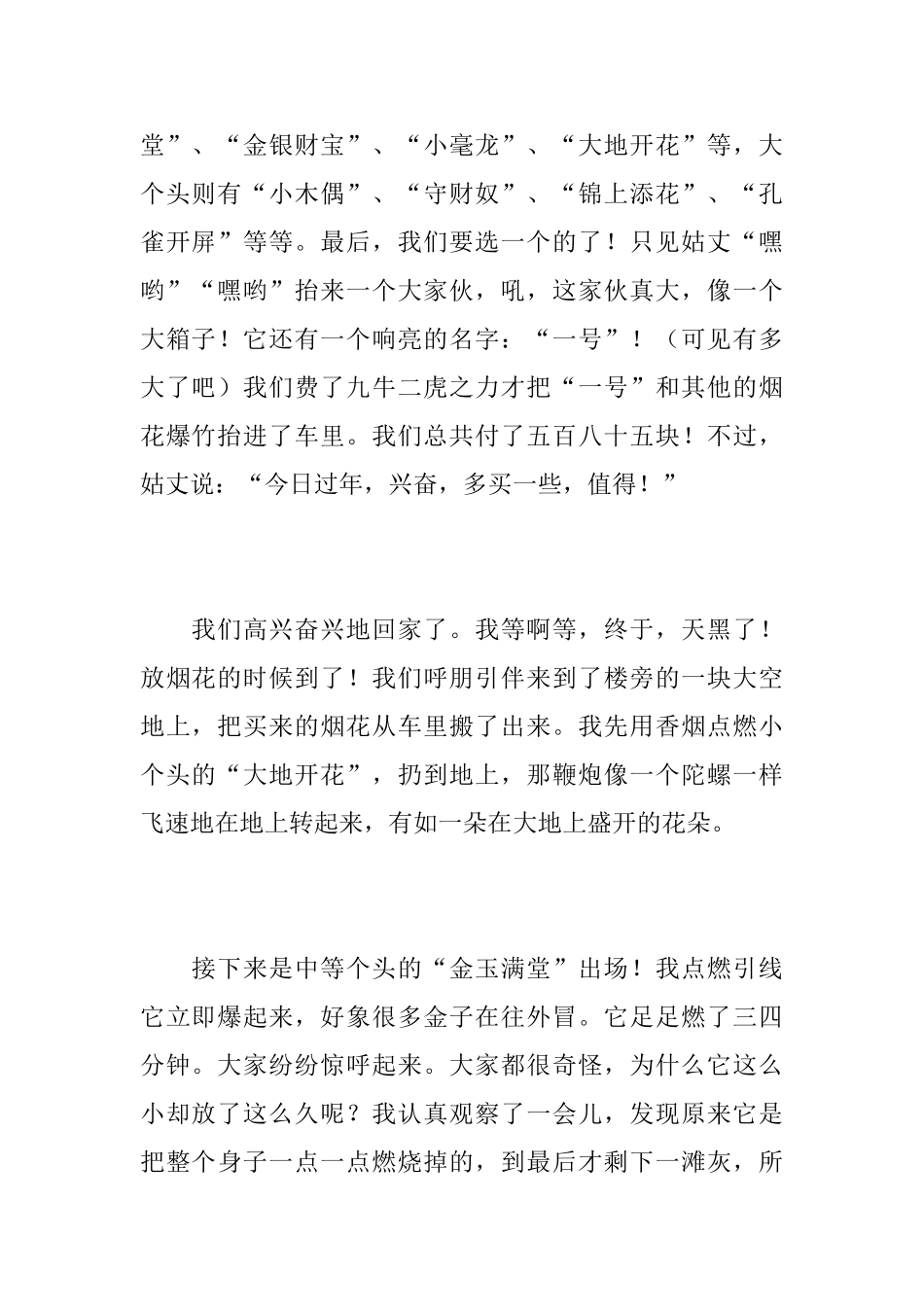 初三新年日记800字_第2页