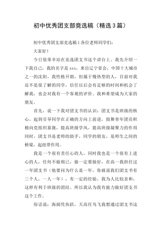 初中优秀团支部竞选稿