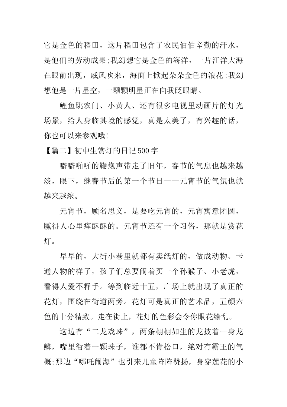 初中生赏灯的日记500字_第2页