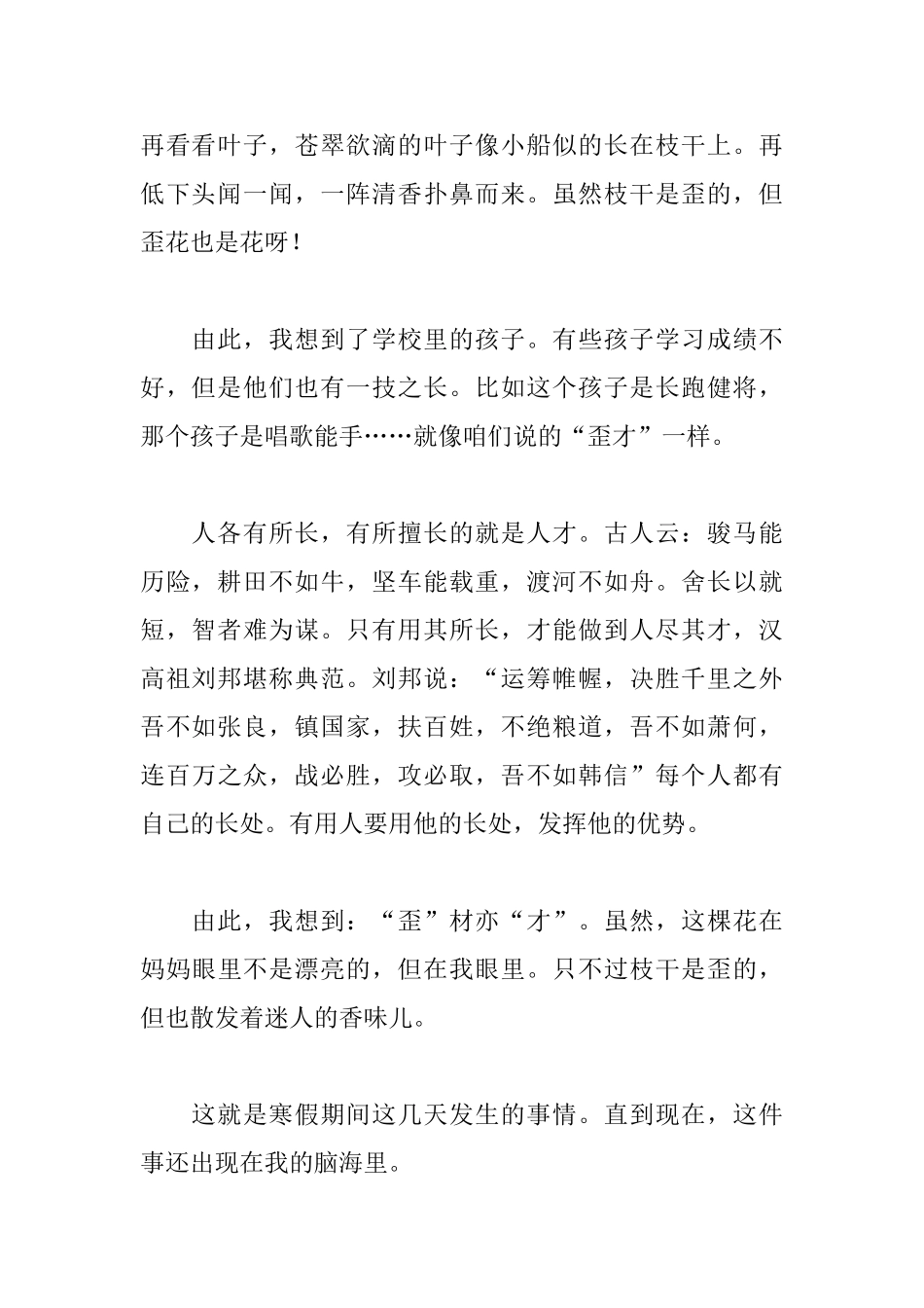 初二寒假见闻周记600字10篇_第2页