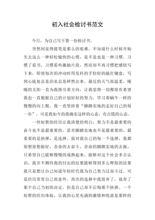 初入社会检讨书范文