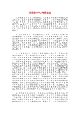 初当会计个人年终总结
