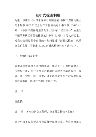 剖析式检查制度