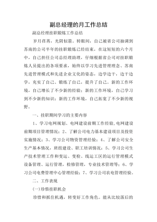 副总经理的月工作总结