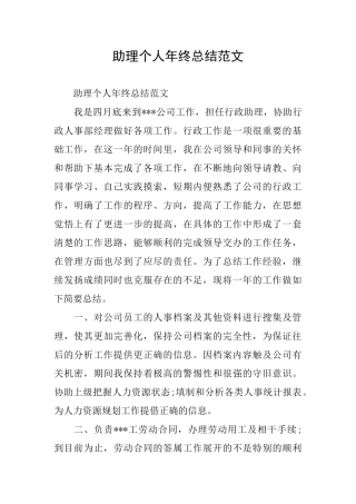 助理个人年终总结范文