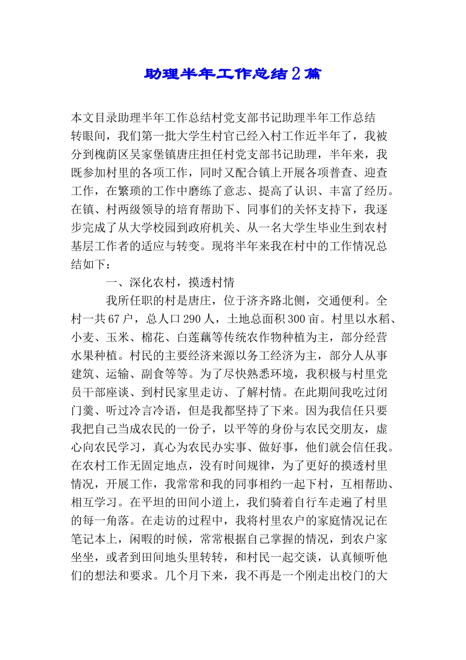 助理半年工作总结2篇_第1页