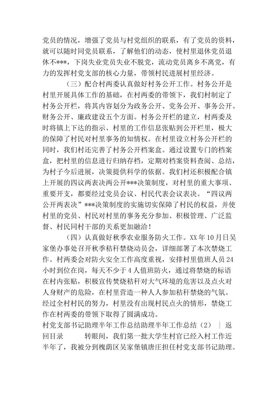 助理半年工作总结2篇_第3页