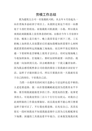 劳模工作总结