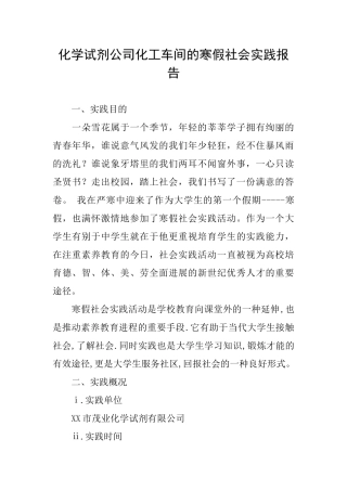 化学试剂公司化工车间的寒假社会实践报告