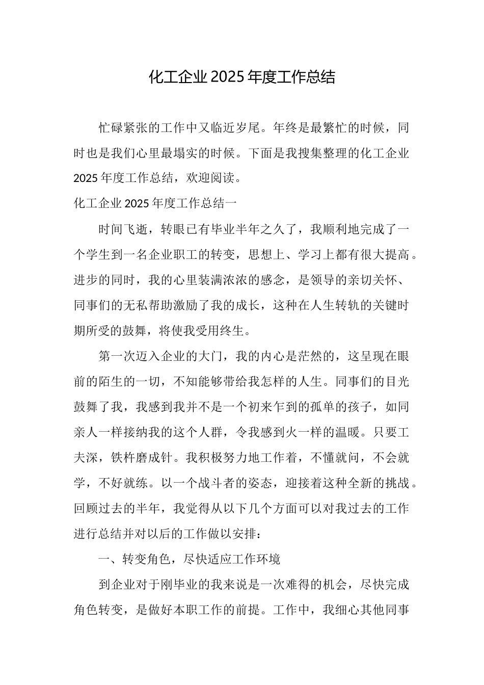 化工企业2025年度工作总结_第1页