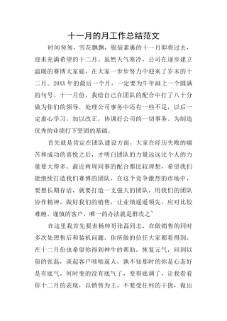 十一月的月工作总结范文