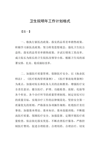 卫生院明年工作计划格式