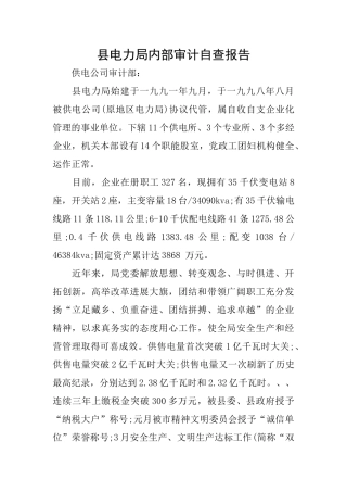 县电力局内部审计自查报告