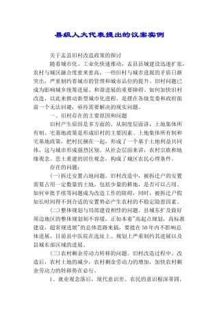 县级人大代表提出的议案实例