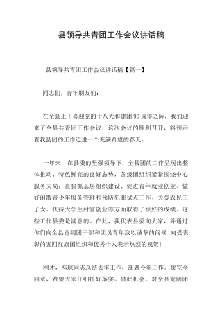 县领导共青团工作会议讲话稿
