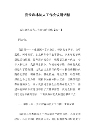 县长森林防火工作会议讲话稿