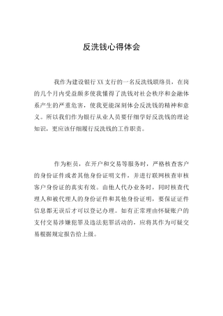 反洗钱心得体会