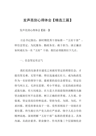 发声亮剑心得体会