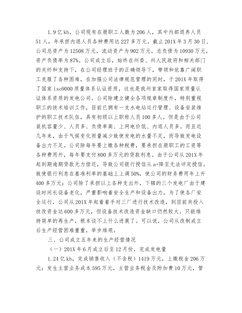 发电公司生产经营状况调研报告_第2页