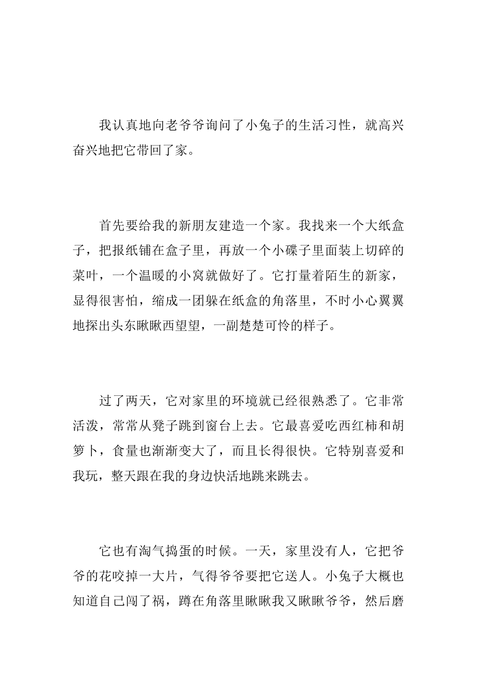 可爱的小白兔初一日记600字_第3页