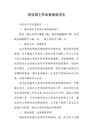 司法局工作自查报告范文