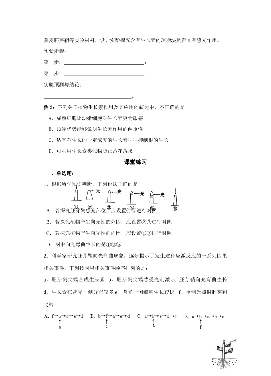 植物激素调节_第3页