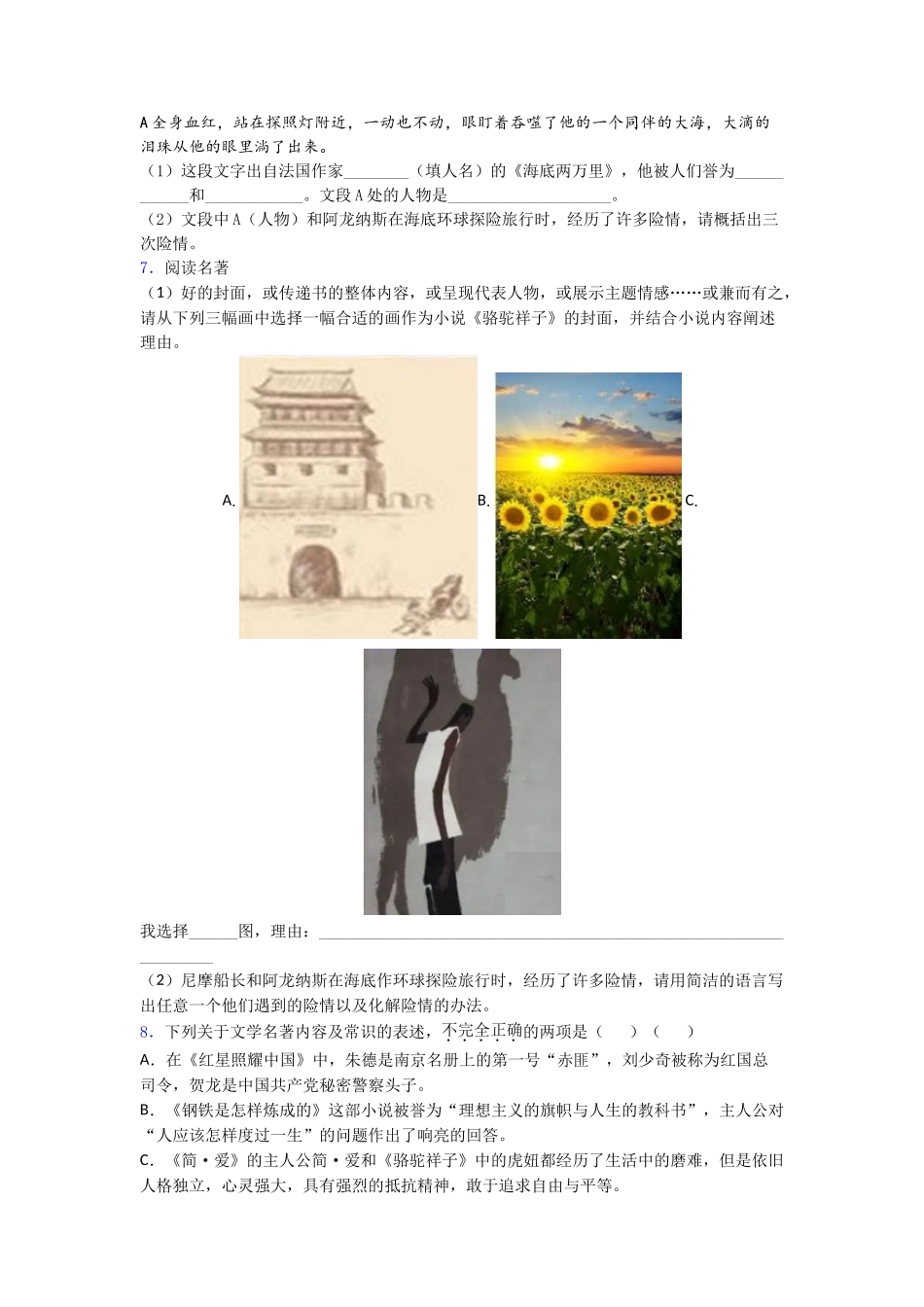 名著推荐海底两万里带解析_第2页