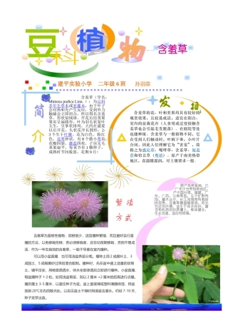 含羞草电子小报