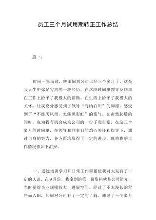 员工三个月试用期转正工作总结