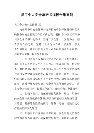 员工个人安全承诺书模板合集五篇