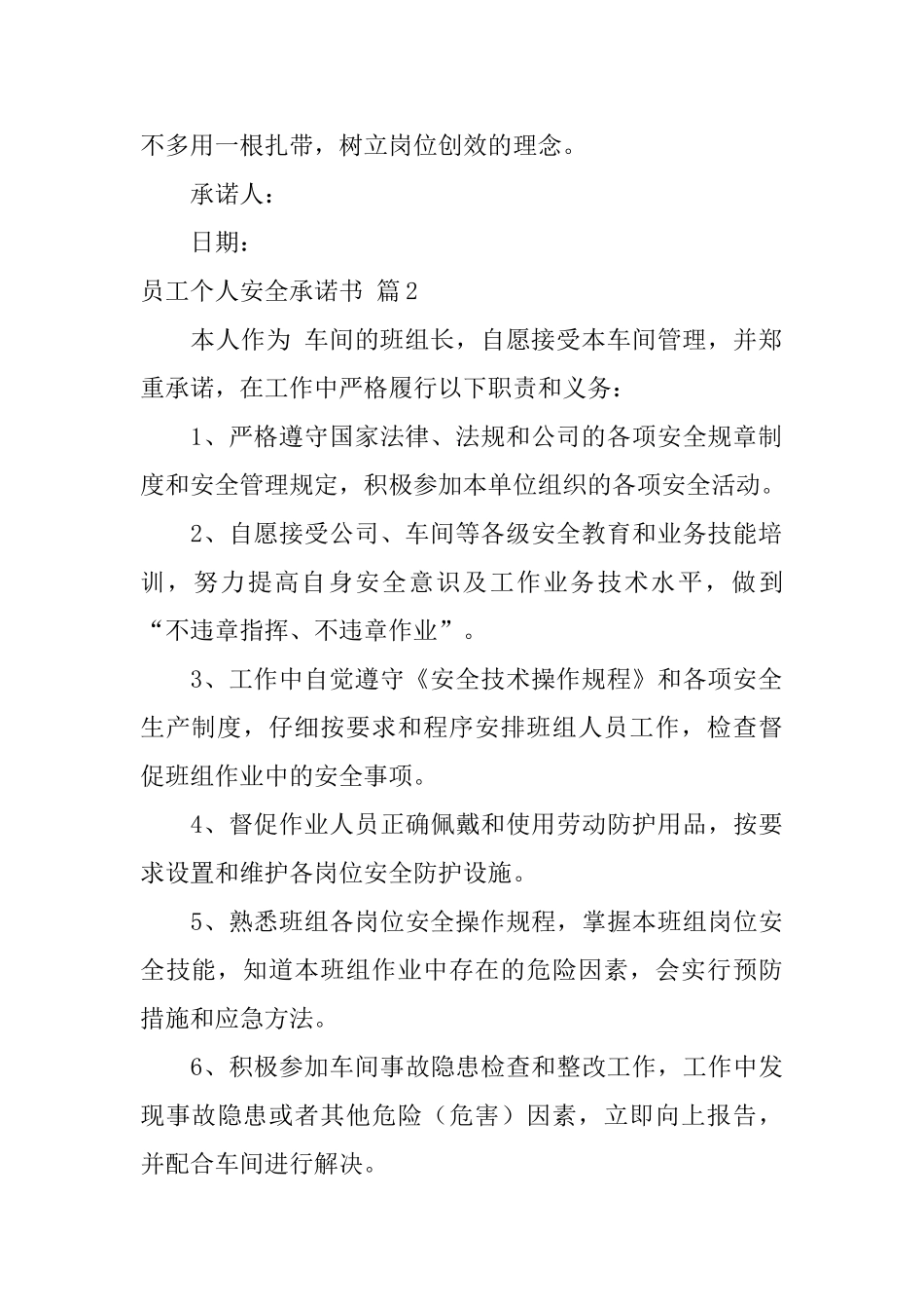员工个人安全承诺书模板汇编10篇_第2页