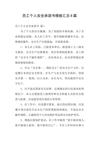 员工个人安全承诺书模板汇总8篇