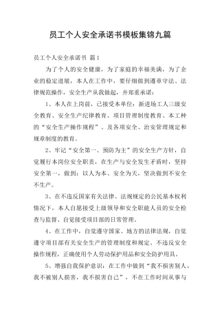 员工个人安全承诺书模板集锦九篇