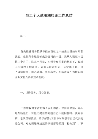 员工个人试用期转正工作总结