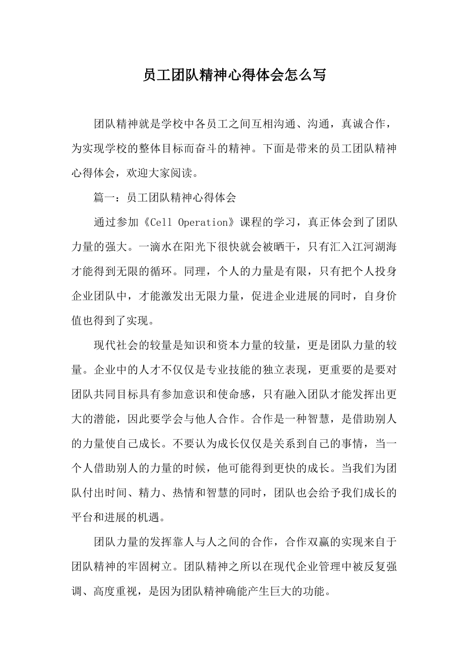 员工团队精神心得体会怎么写_第1页