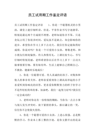 员工试用期工作鉴定评语