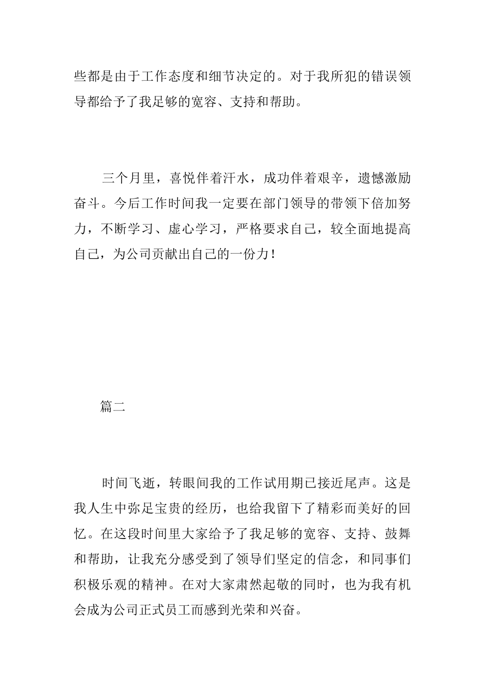 员工试用期工作总结三篇_第2页