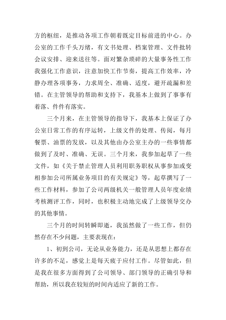 员工试用期转正工作总结格式_第2页
