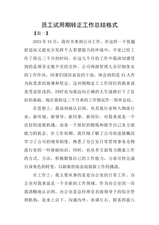 员工试用期转正工作总结格式