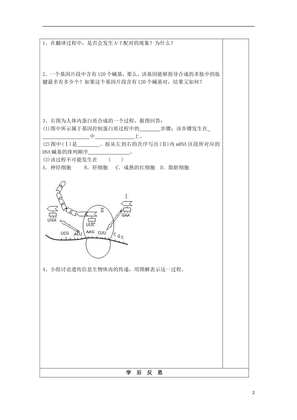 江苏省2013-2014学年高中生物 4.3 基因控制蛋白质的合成导学案2 苏教版必修2_第2页