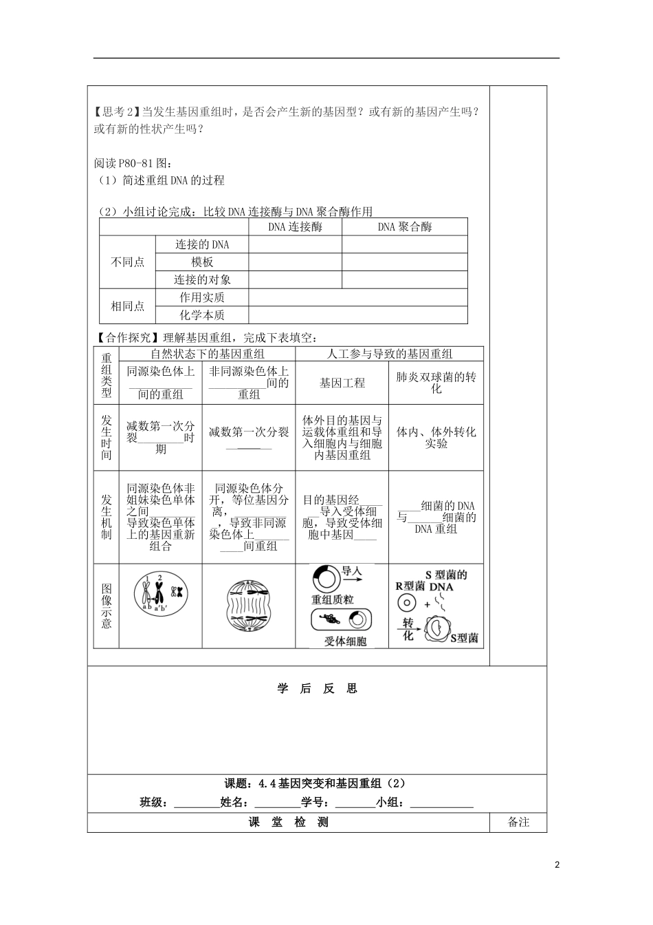 江苏省2013-2014学年高中生物 4.4 基因突变和基因重组导学案2 苏教版必修2_第2页