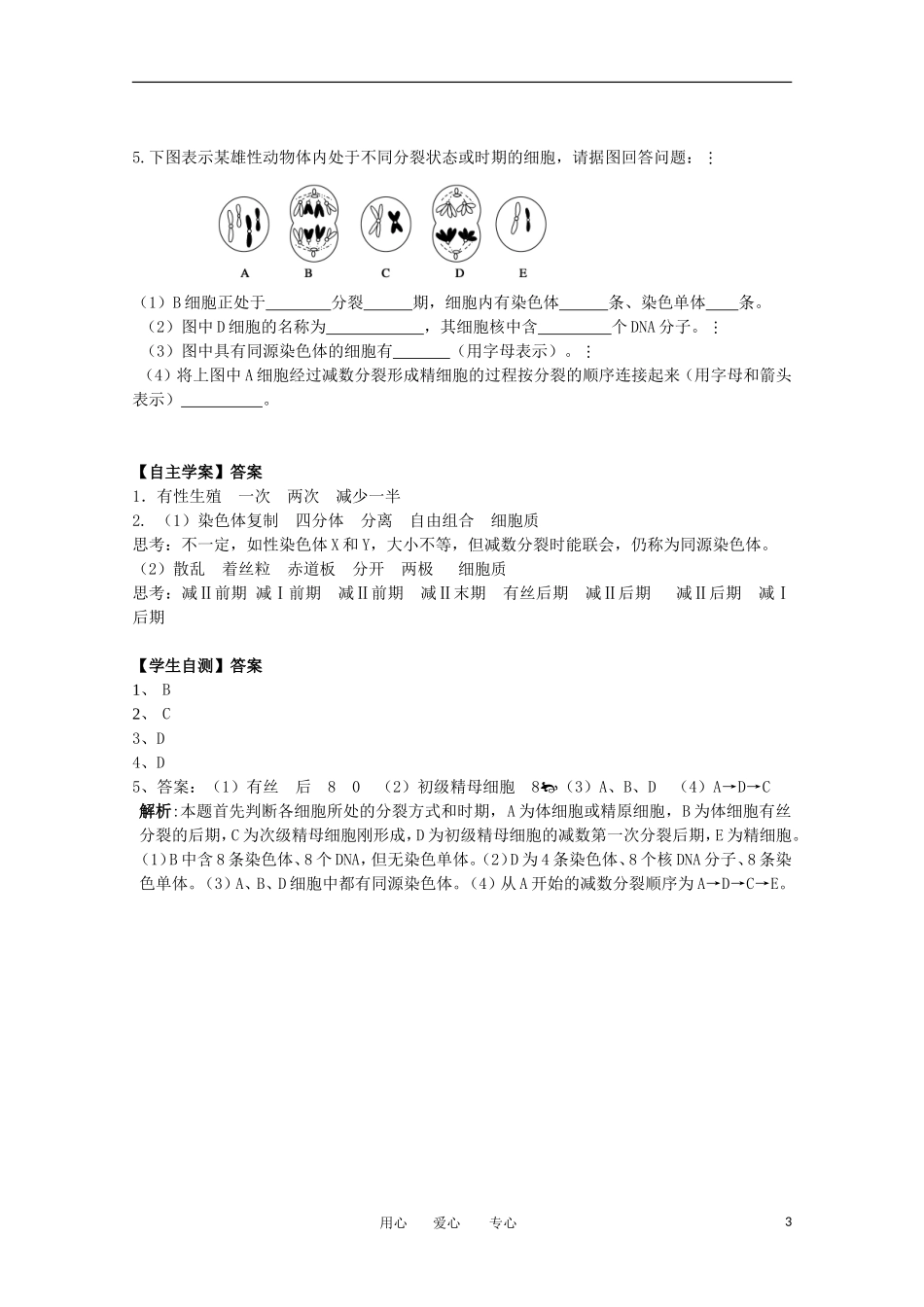 江苏淮阴中学2012年高中生物 2.1《细胞的减数分裂》1学案 苏教版必修2_第3页